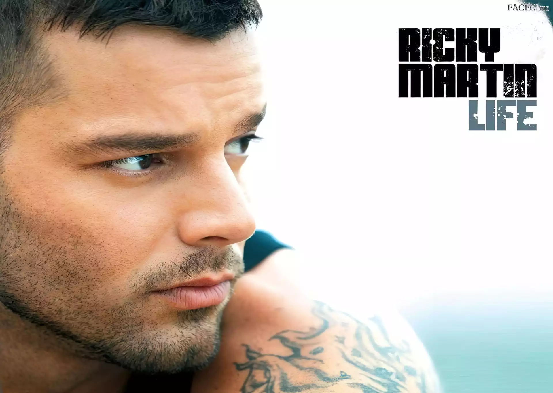 Ricky Martin, Tatuaż