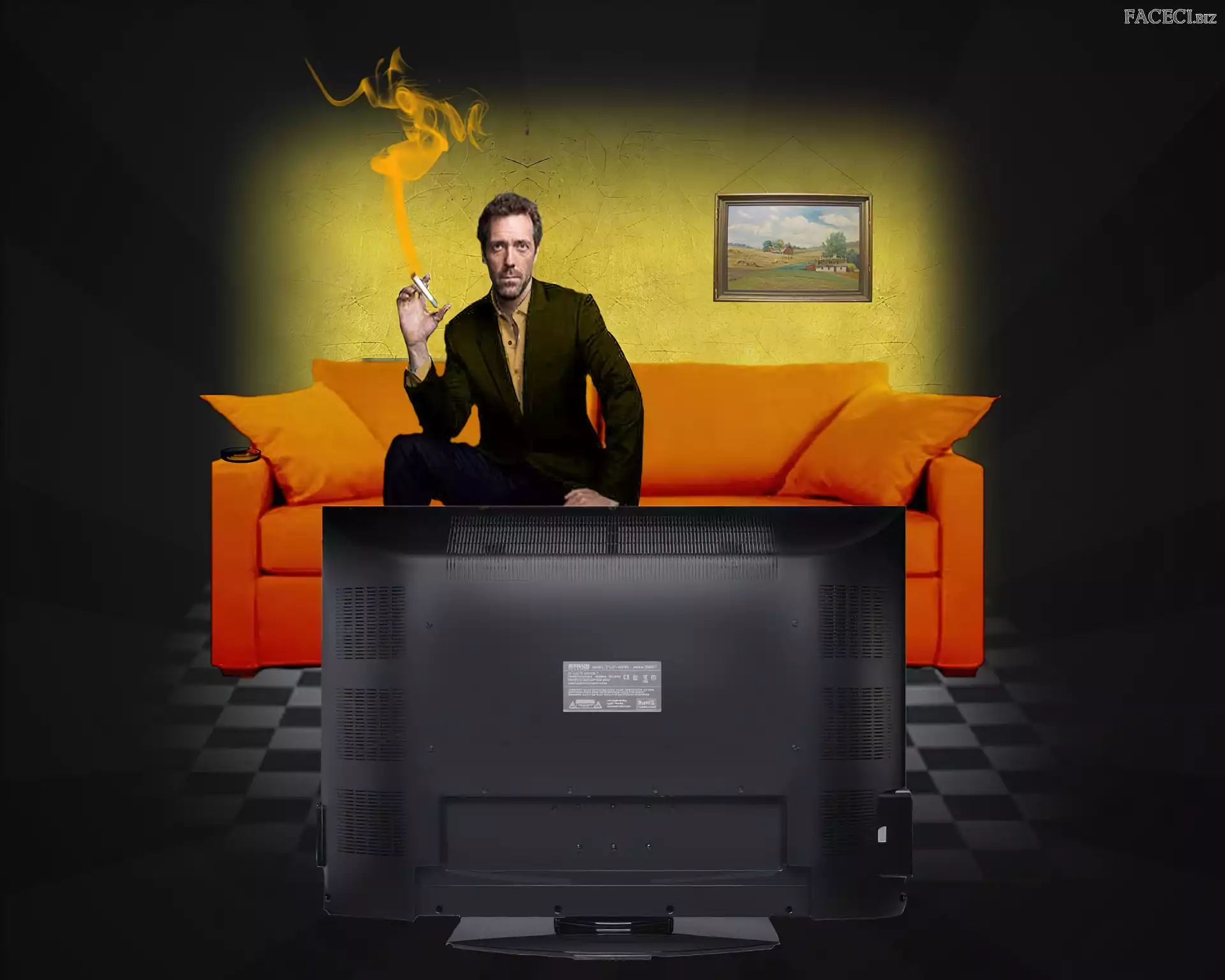 Telewizor, Dr. House, Hugh Lauriego